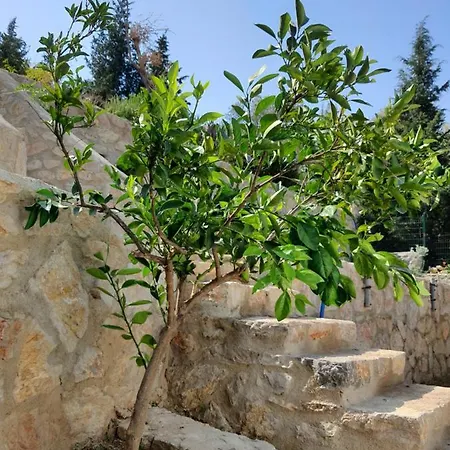 Agroturismo Artolive Datça