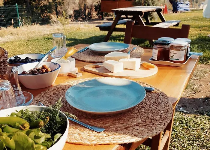 Farm stay Artolive Datca