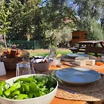 Alojamento de Turismo Rural Artolive Datça