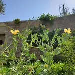 Alojamento de Turismo Rural Artolive Datça