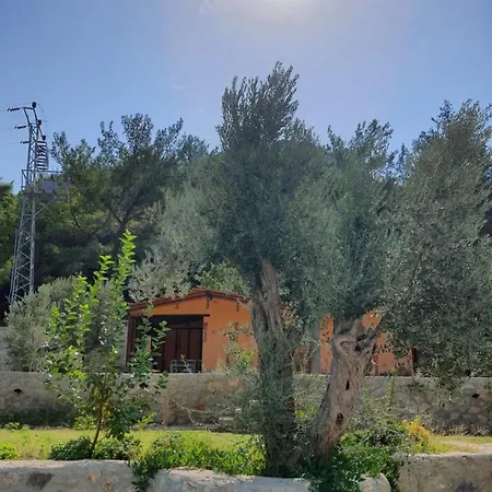 Vakantieboerderij Artolive Datça