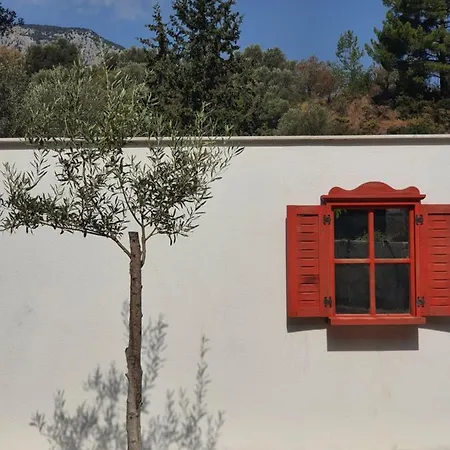 Vakantieboerderij Artolive Datça