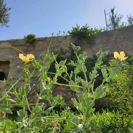 Vakantieboerderij Artolive Datça