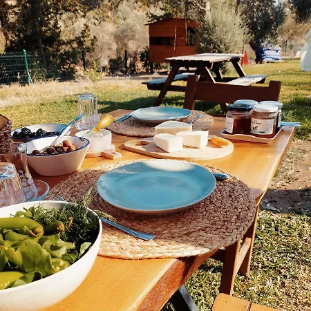 Vakantieboerderij Artolive Datça