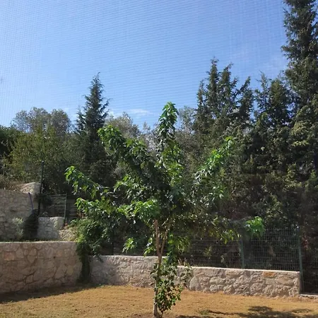 Vakantieboerderij Artolive *