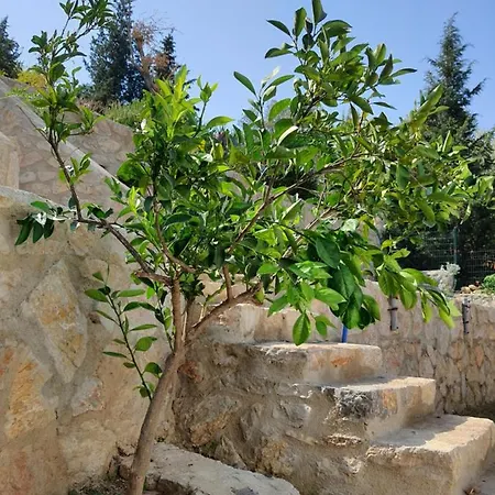 Artolive Alloggio per agriturismo