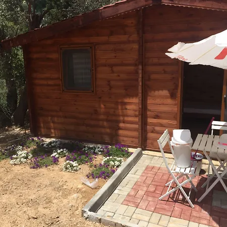 Artolive Vakantieboerderij