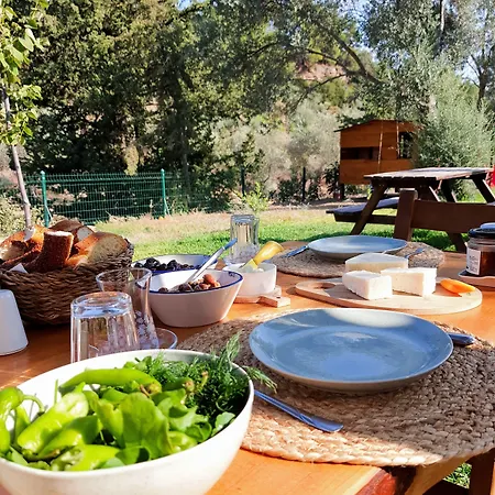 Vakantieboerderij Artolive *