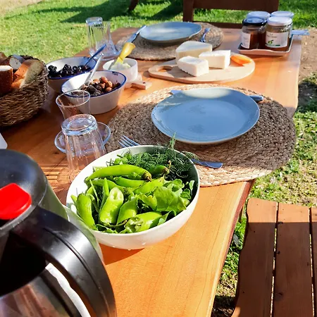 Vakantieboerderij Artolive