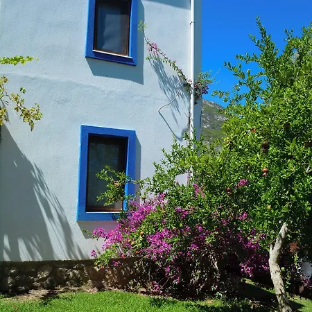 Vakantieboerderij Artolive Datça