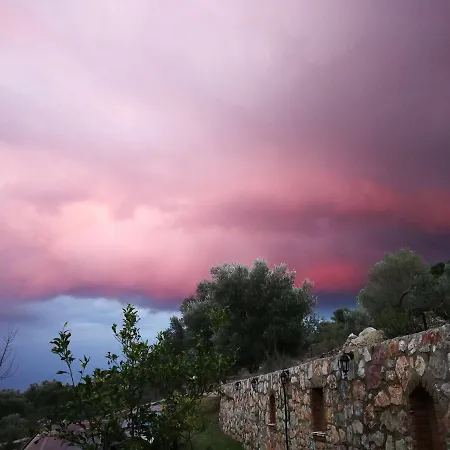 Artolive Alloggio per agriturismo Datça