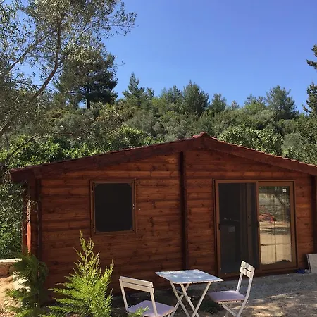 Vakantieboerderij Artolive *