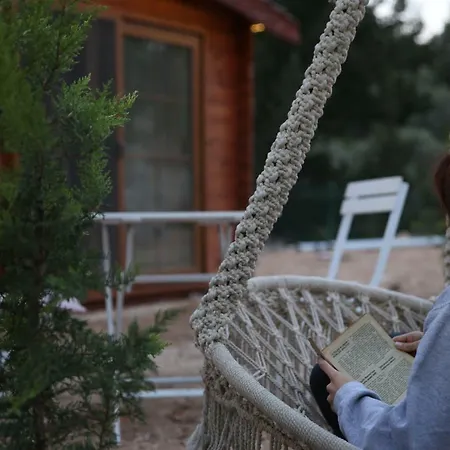 Artolive Vakantieboerderij Datça