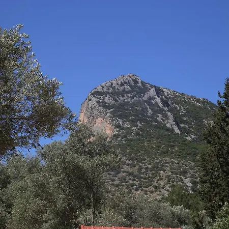 Artolive Vakantieboerderij