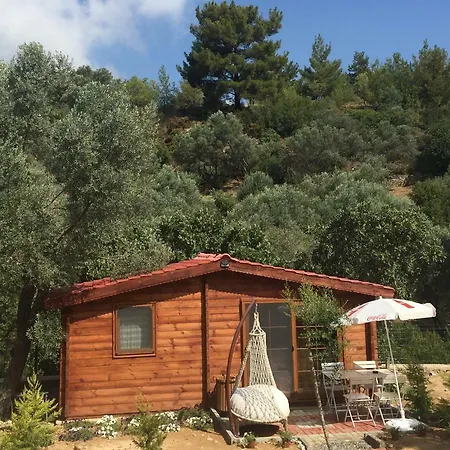 Artolive Vakantieboerderij