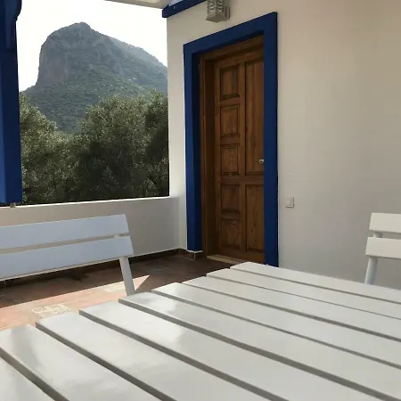 Artolive Vakantieboerderij Datça